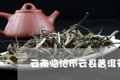 云南临沧市云县普洱茶/2023073140537