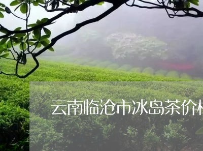 云南临沧市冰岛茶价格/2023092359160