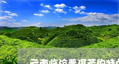 云南临沧普洱茶的特点与功效作用/2023060205028