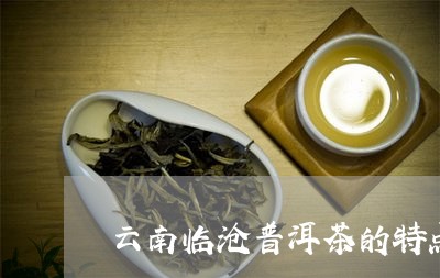 云南临沧普洱茶的特点和功效/2023052839491