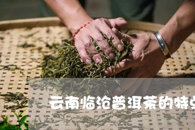 云南临沧普洱茶的特点是什么味道/2023060214919