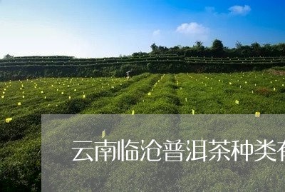 云南临沧普洱茶种类有多少/2023082554169