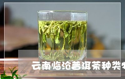 云南临沧普洱茶种类特点图片/2023052966268