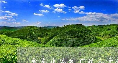 云南临沧茶厂银毫贡饼/2023071632047