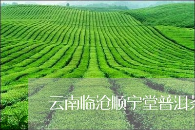 云南临沧顺宁堂普洱茶怎么样/2023052898376