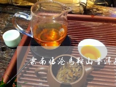 云南临沧马鞍山普洱茶/2023073173038