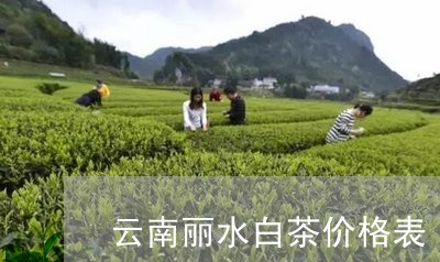 云南丽水白茶价格表/2023121671570