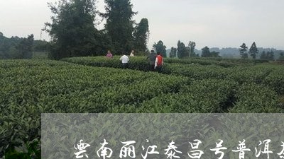 云南丽江泰昌号普洱茶/2023061752503