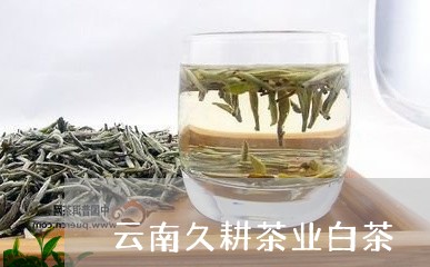 云南久耕茶业白茶/2023061420383