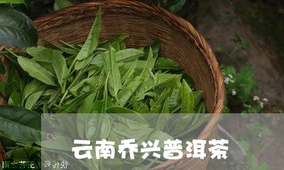 云南乔兴普洱茶/2023120393293