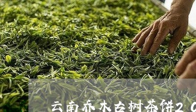 云南乔木古树茶饼2013年/2023052640602