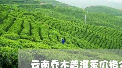 云南乔木普洱茶价格2004年/2023053006171