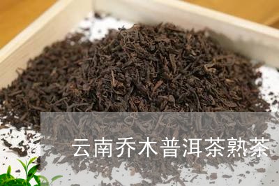 云南乔木普洱茶熟茶/2023070906150