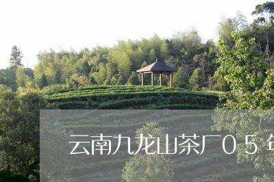 云南九龙山茶厂05年金毫圆茶/2023053114948