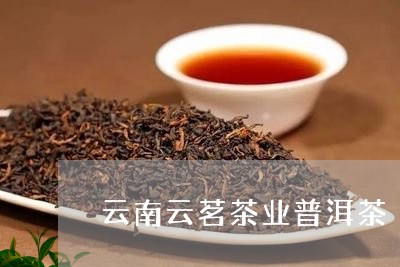 云南云茗茶业普洱茶/2023120578571