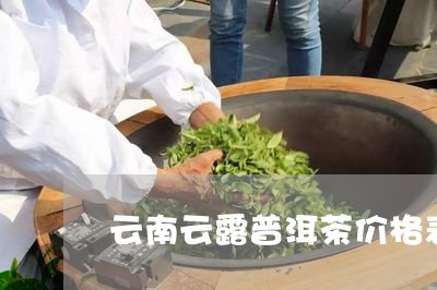 云南云露普洱茶价格表/2023072386271