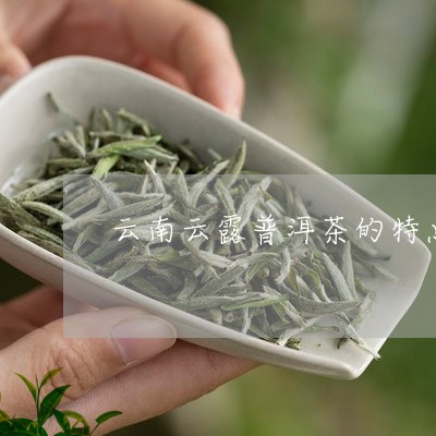 云南云露普洱茶的特点/2023062229394