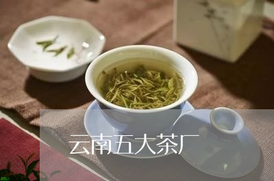 云南五大茶厂/2023042943806