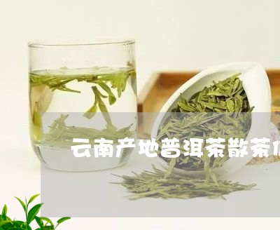 云南产地普洱茶散茶价格/2023110349063