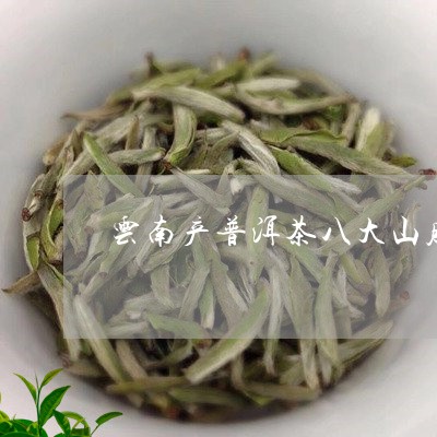 云南产普洱茶八大山脉/2023061516139