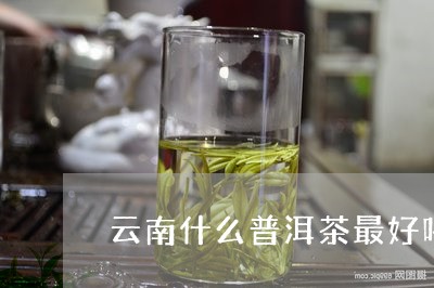 云南什么普洱茶最好喝/2023100671592