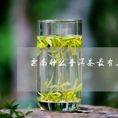 云南什么普洱茶最有名/2023080127169