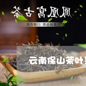 云南保山茶叶采购价格/2023092227268