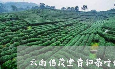 云南信茂堂昔归茶叶价格/2023081049362