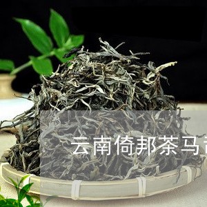 云南倚邦茶马司普洱茶/2023062388740