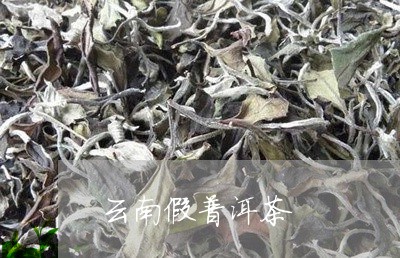 云南假普洱茶/2023042759563