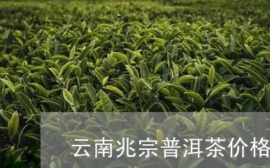 云南兆宗普洱茶价格/2023120540492