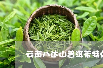 云南八达山普洱茶特点/2023062370304