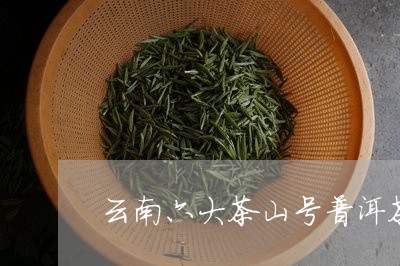 云南六大茶山号普洱茶/2023093008241