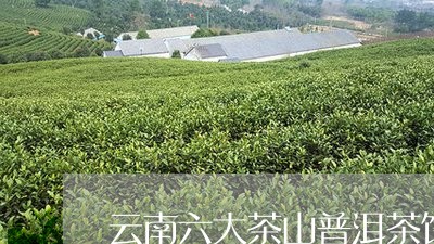 云南六大茶山普洱茶饼/2023072478362