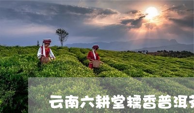 云南六耕堂糯香普洱茶/2023072332625