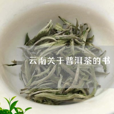 云南关于普洱茶的书/2023082845240