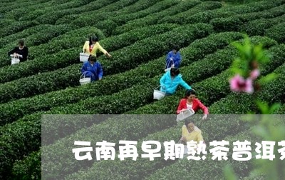 云南再早期熟茶普洱茶/2023080339592