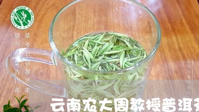 云南农大周教授普洱茶/2023100896150