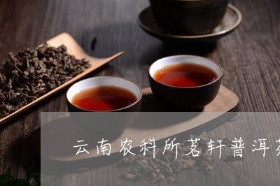 云南农科所茗轩普洱茶/2023072200935