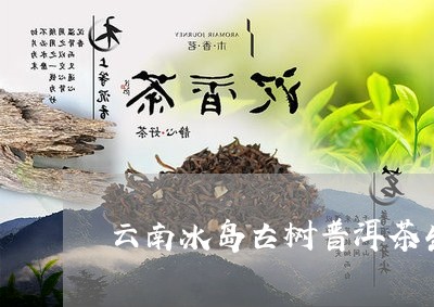 云南冰岛古树普洱茶生茶/2023050505037