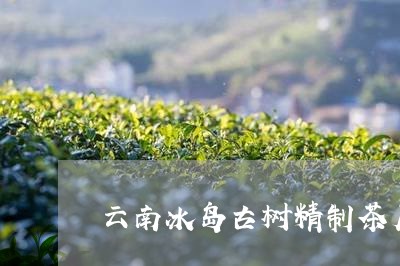 云南冰岛古树精制茶厂/2023092394836