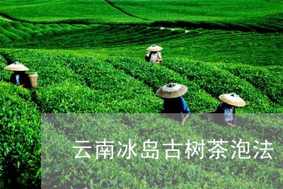 云南冰岛古树茶泡法/2023042647684