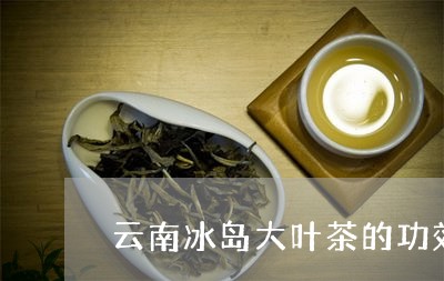 云南冰岛大叶茶的功效与作用/2023052612826