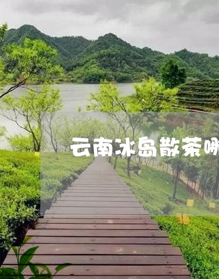 云南冰岛散茶哪家好卖/2023061202695