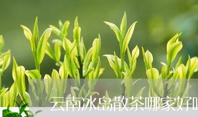 云南冰岛散茶哪家好喝/2023092314280