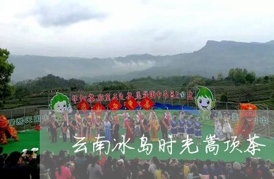 云南冰岛时光嵩顶茶/2023042618261