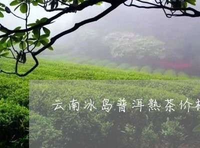 云南冰岛普洱熟茶价格/2023092527381