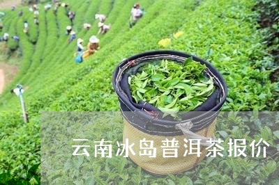 云南冰岛普洱茶报价/2023071153937