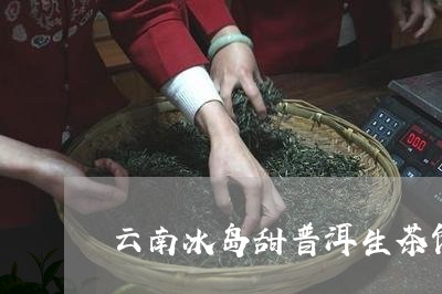 云南冰岛甜普洱生茶饼/2023092576359