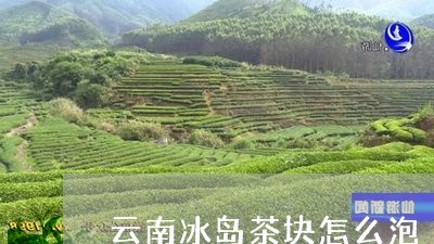 云南冰岛茶块怎么泡/2023042665140